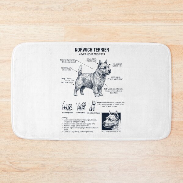 Item preview, Norwich Terrier Scientific Anatomy Biology Dog Lover designed and sold by dian-rody-crest.