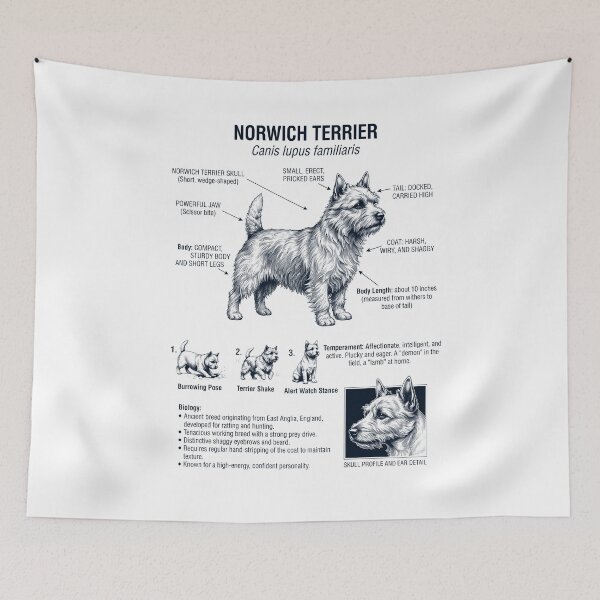Item preview, Norwich Terrier Scientific Anatomy Biology Dog Lover designed and sold by dian-rody-crest.