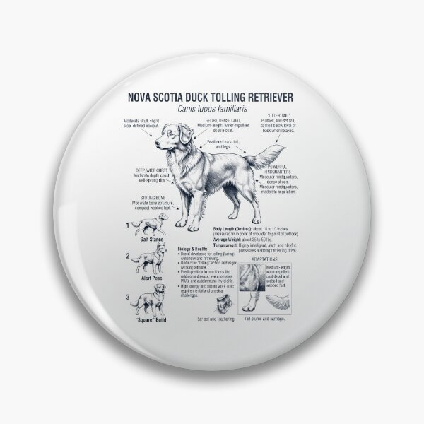 Item preview, Nova Scotia Duck Tolling Retriever Scientific Anatomy Biology Dog Lover designed and sold by dian-rody-crest.