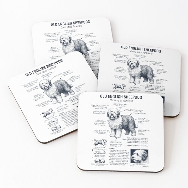 Item preview, Old English Sheepdog Scientific Anatomy Biology Dog Lover designed and sold by dian-rody-crest.
