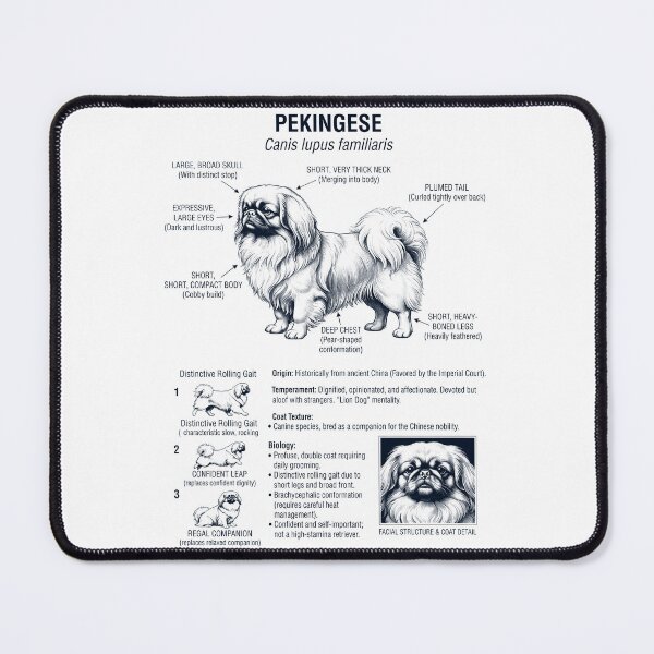 Item preview, Pekingese Scientific Anatomy Biology Dog Lover designed and sold by dian-rody-crest.