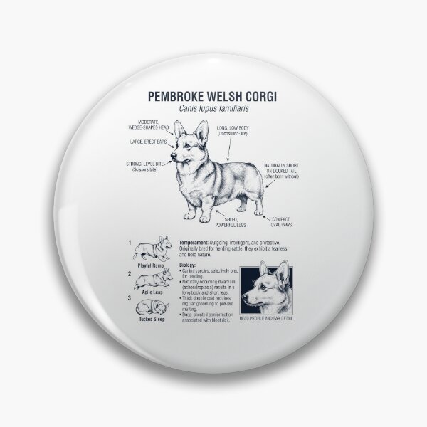 Item preview, Pembroke Welsh Corgi Scientific Anatomy Biology Dog Lover designed and sold by dian-rody-crest.
