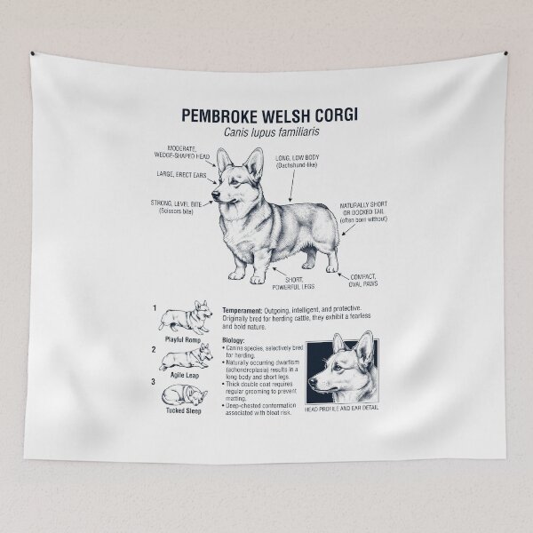 Item preview, Pembroke Welsh Corgi Scientific Anatomy Biology Dog Lover designed and sold by dian-rody-crest.