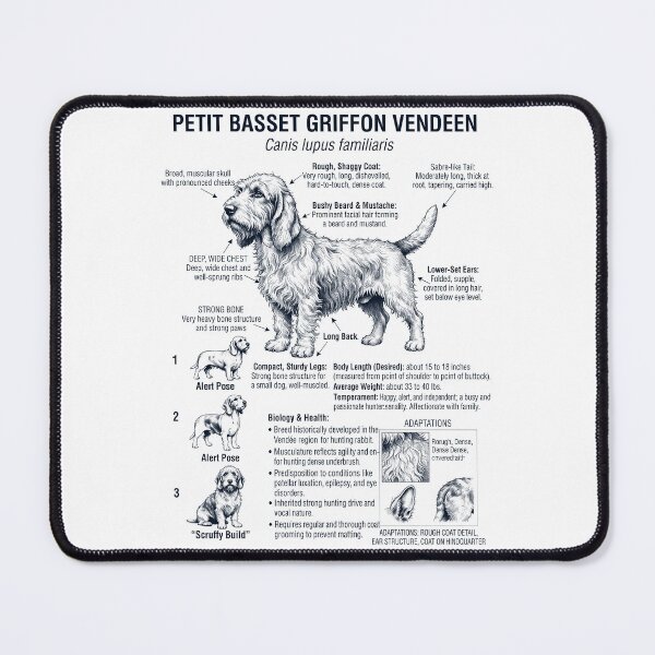 Item preview, Petit Basset Griffon Vendeen Scientific Anatomy Biology Dog Lover designed and sold by dian-rody-crest.