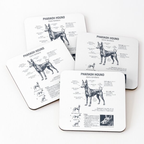 Item preview, Pharaoh Hound Scientific Anatomy Biology Dog Lover designed and sold by dian-rody-crest.