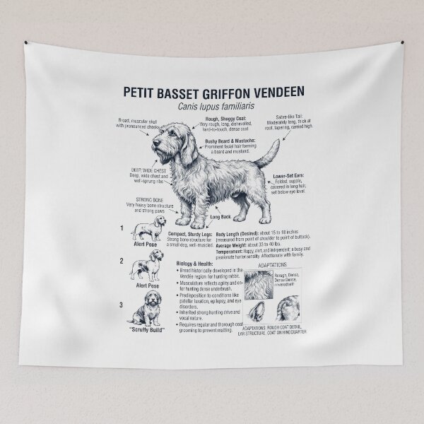 Aperçu de l'œuvre Petit Basset Griffon Vendéen Anatomie scientifique Biologie Amoureux des chiens créée et vendue par dian-rody-crest.