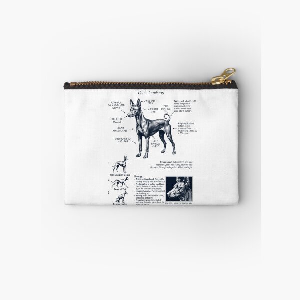 Item preview, Pharaoh Hound Scientific Anatomy Biology Dog Lover designed and sold by dian-rody-crest.