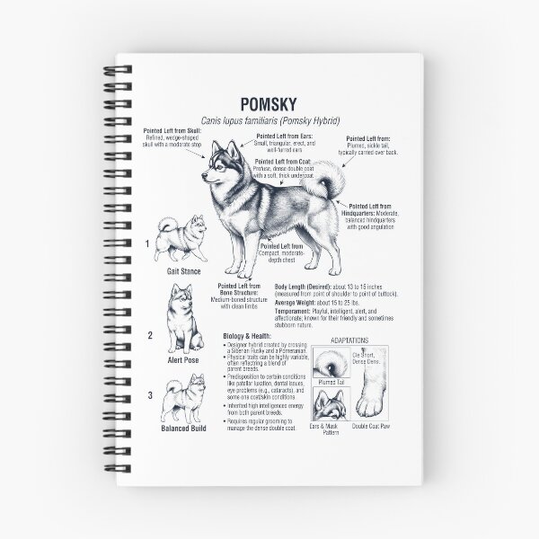 Item preview, Pomsky Scientific Anatomy Biology Dog Lover designed and sold by dian-rody-crest.