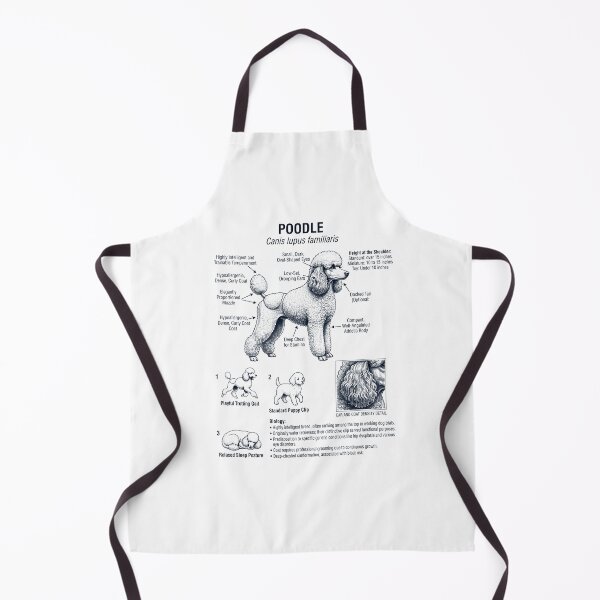 Item preview, Poodle Scientific Anatomy Biology Dog Lover designed and sold by dian-rody-crest.
