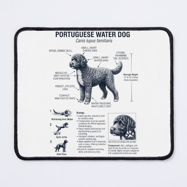 Item preview, Portuguese Water Dog Scientific Anatomy Biology Dog Lover designed and sold by dian-rody-crest.