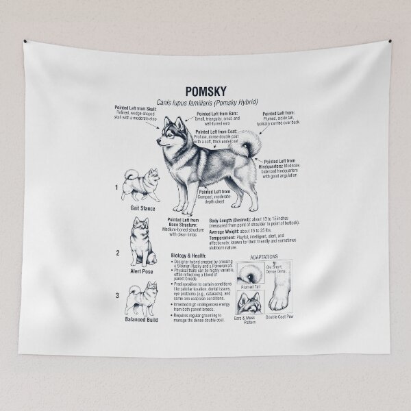 Item preview, Pomsky Scientific Anatomy Biology Dog Lover designed and sold by dian-rody-crest.