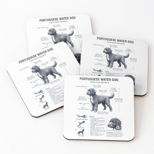 Item preview, Portuguese Water Dog Scientific Anatomy Biology Dog Lover designed and sold by dian-rody-crest.