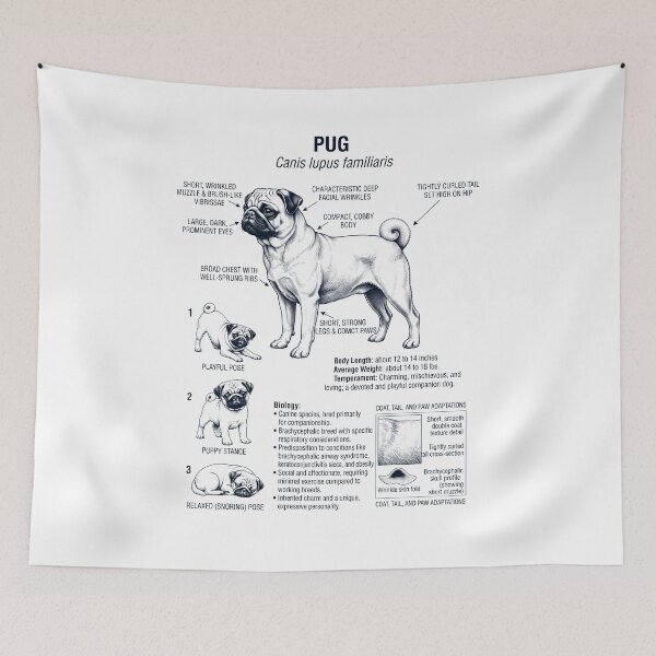 Item preview, Pug Scientific Anatomy Biology Dog Lover designed and sold by dian-rody-crest.