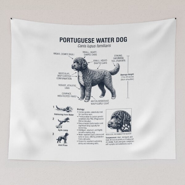 Item preview, Portuguese Water Dog Scientific Anatomy Biology Dog Lover designed and sold by dian-rody-crest.