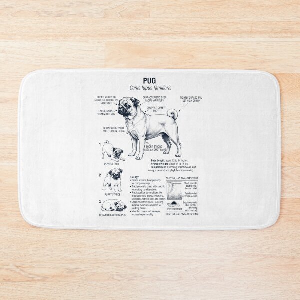 Item preview, Pug Scientific Anatomy Biology Dog Lover designed and sold by dian-rody-crest.