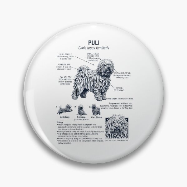 Item preview, Puli Scientific Anatomy Biology Dog Lover designed and sold by dian-rody-crest.