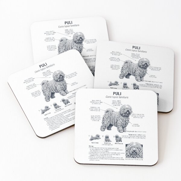 Item preview, Puli Scientific Anatomy Biology Dog Lover designed and sold by dian-rody-crest.
