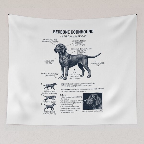 Item preview, Redbone Coonhound Scientific Anatomy Biology Dog Lover designed and sold by dian-rody-crest.