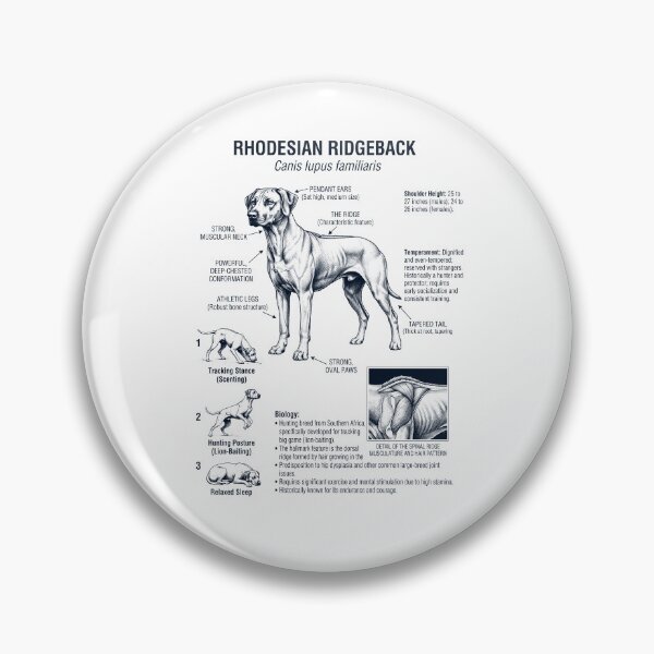 Item preview, Anatomía científica, biología y amante de los perros del Rhodesian Ridgeback. designed and sold by dian-rody-crest.