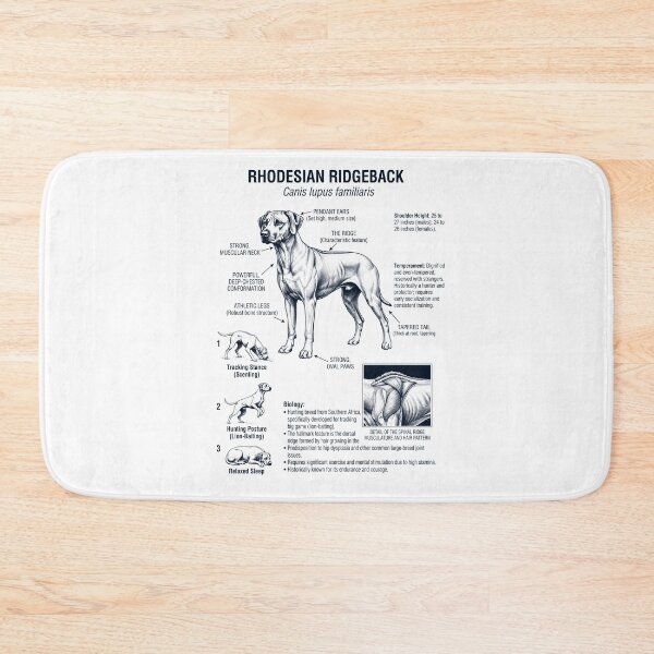 Item preview, Rhodesian Ridgeback Scientific Anatomy Biology Dog Lover designed and sold by dian-rody-crest.