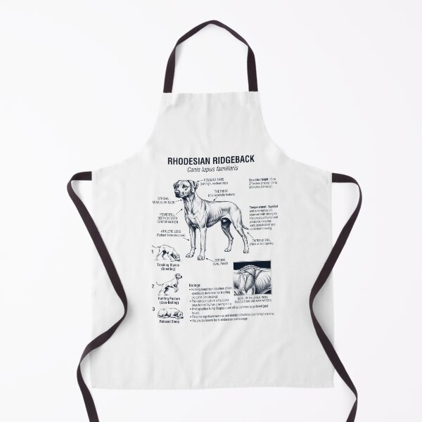 Aperçu de l'œuvre Anatomie scientifique et biologie du Rhodesian Ridgeback, amoureux des chiens créée et vendue par dian-rody-crest.