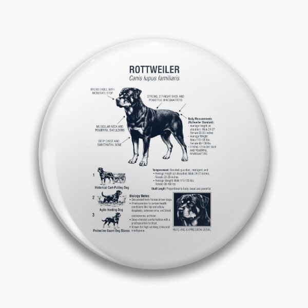 Item preview, Rottweiler Scientific Anatomy Biology Dog Lover designed and sold by dian-rody-crest.