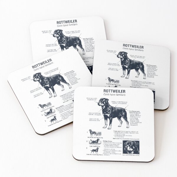 Item preview, Rottweiler Scientific Anatomy Biology Dog Lover designed and sold by dian-rody-crest.