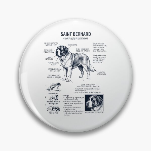 Item preview, Saint Bernard Scientific Anatomy Biology Dog Lover designed and sold by dian-rody-crest.