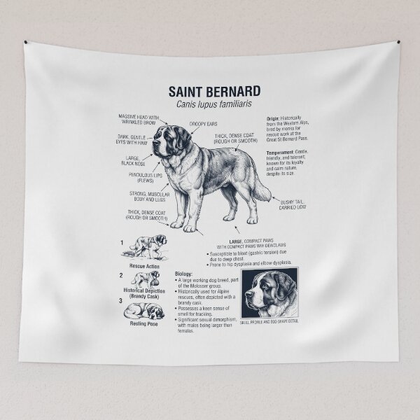 Item preview, Saint Bernard Scientific Anatomy Biology Dog Lover designed and sold by dian-rody-crest.