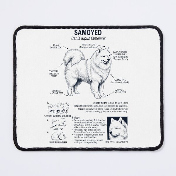 Item preview, Samoyed Scientific Anatomy Biology Dog Lover designed and sold by dian-rody-crest.