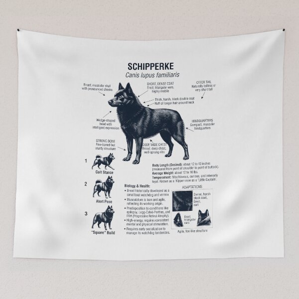 Item preview, Schipperke Scientific Anatomy Biology Dog Lover designed and sold by dian-rody-crest.