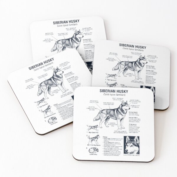 Item preview, Siberian Husky Scientific Anatomy Biology Dog Lover designed and sold by dian-rody-crest.
