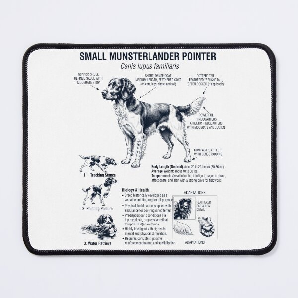 Item preview, Small Munsterlander Pointer Scientific Anatomy Biology Dog Lover designed and sold by dian-rody-crest.