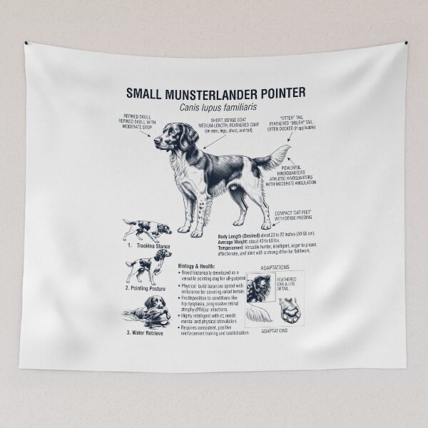 Item preview, Small Munsterlander Pointer Scientific Anatomy Biology Dog Lover designed and sold by dian-rody-crest.