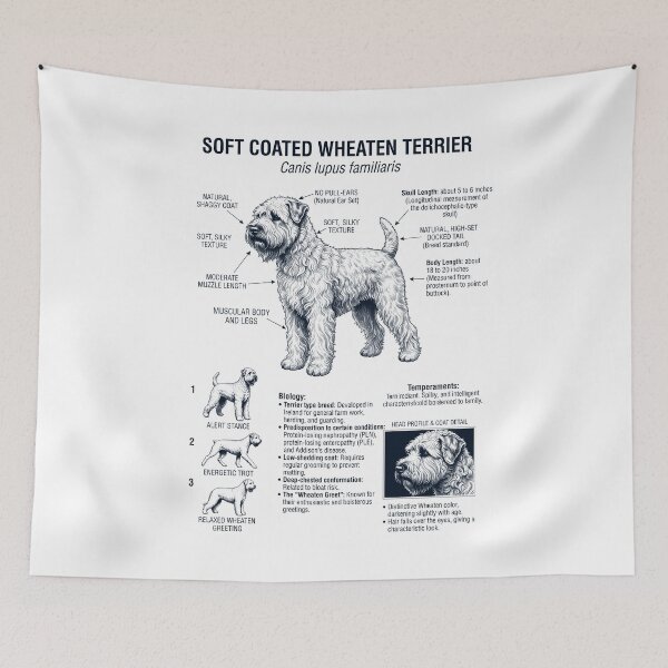 Item preview, Soft Coated Wheaten Terrier Scientific Anatomy Biology Dog Lover designed and sold by dian-rody-crest.