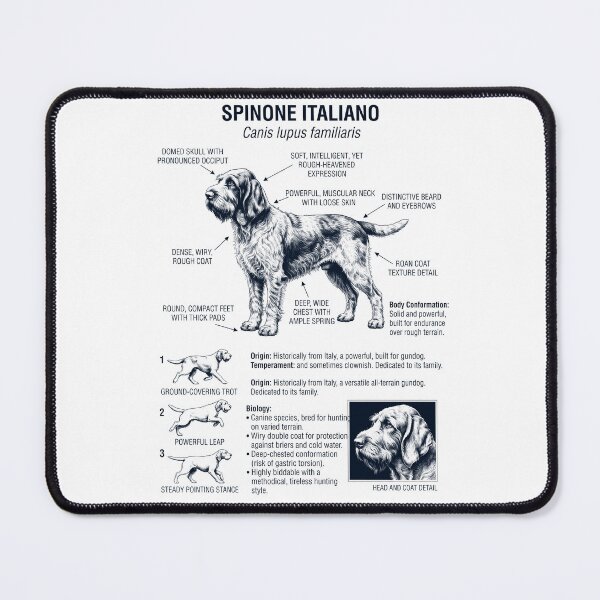 Item preview, Spinone Italiano Scientific Anatomy Biology Dog Lover designed and sold by dian-rody-crest.