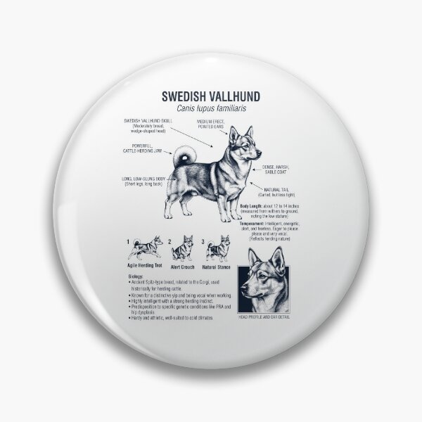 Item preview, Swedish Vallhund Scientific Anatomy Biology Dog Lover designed and sold by dian-rody-crest.