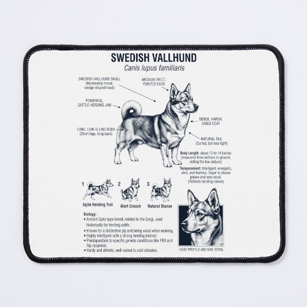 Item preview, Swedish Vallhund Scientific Anatomy Biology Dog Lover designed and sold by dian-rody-crest.