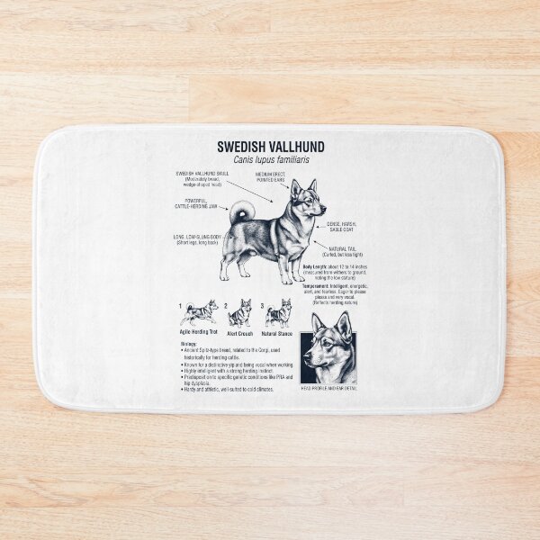 Item preview, Swedish Vallhund Scientific Anatomy Biology Dog Lover designed and sold by dian-rody-crest.