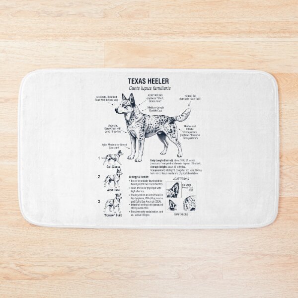 Item preview, Texas Heeler Scientific Anatomy Biology Dog Lover designed and sold by dian-rody-crest.