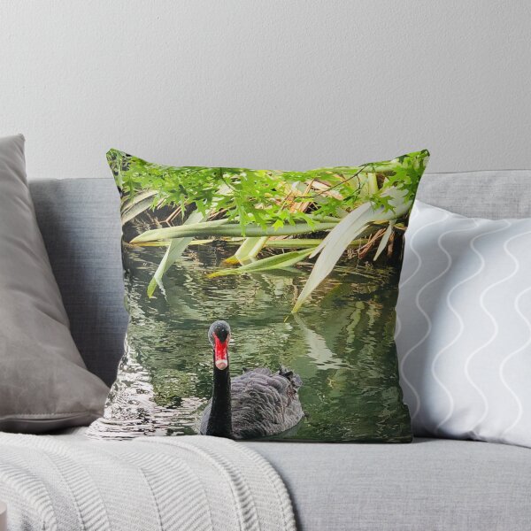 Item preview, Cisne negro en el lago designed and sold by Jasbindar Singh.