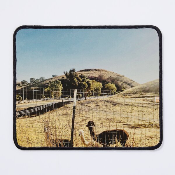 Item preview, Llama Drama designed and sold by ROSENDE ART HOUSE.