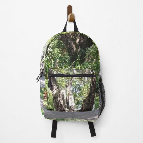Item preview, Sunlit Live Oak with Spanish Moss – Florida Nature Photography designed and sold by Mirgonhood.