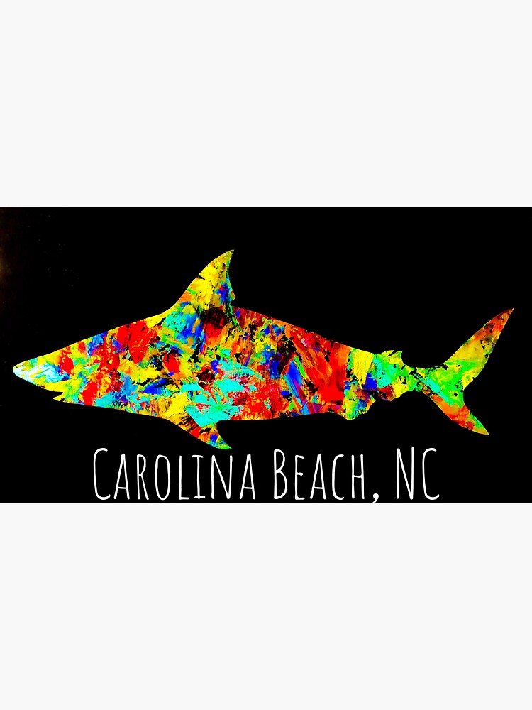 Carolina Beach by barryknauff