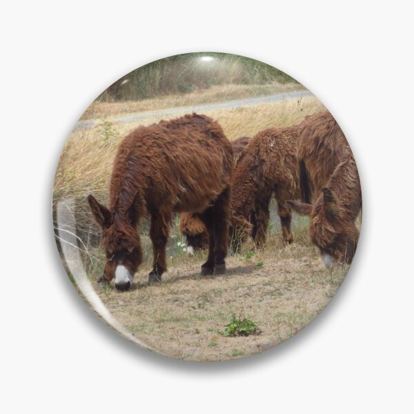 Item preview, Shaggy Coated Donkeys designed and sold by wiggyofipswich.