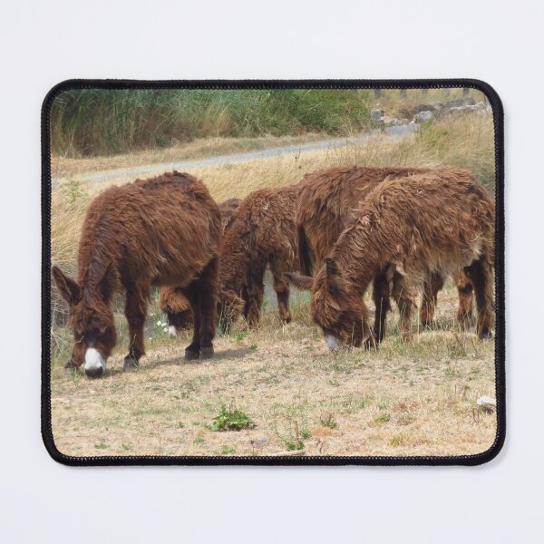 Item preview, Shaggy Coated Donkeys designed and sold by wiggyofipswich.