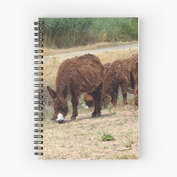 Item preview, Shaggy Coated Donkeys designed and sold by wiggyofipswich.
