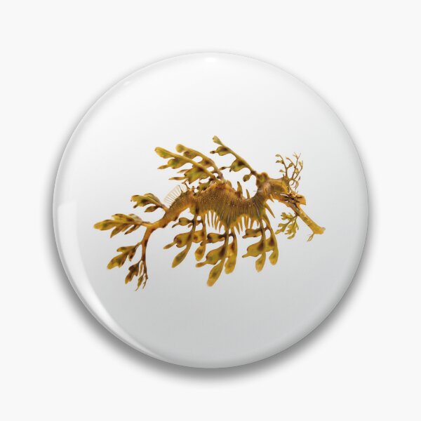 Item preview, Leafy Seadragon – Ocean's Master of Disguise Portrait designed and sold by Helt-enkelt.