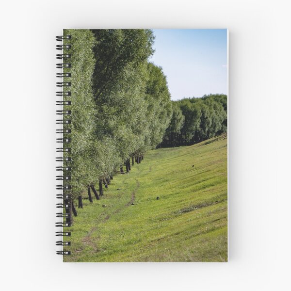 Item preview, Row Of Lush Green Trees Lining Grassy Hillside Slope designed and sold by Matricko.