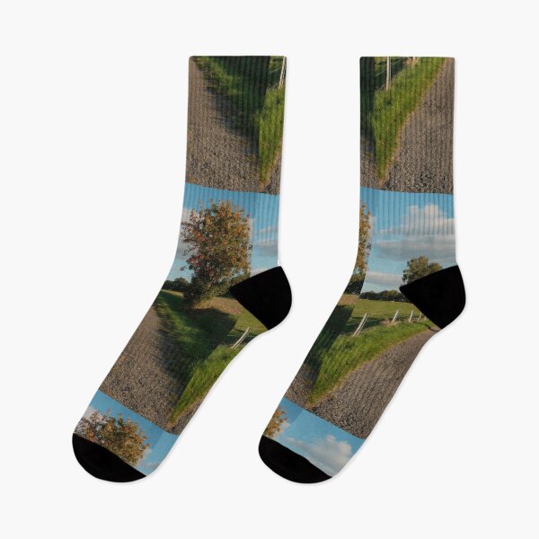 Item preview, Country Gravel Road Passing Green Pastures And Autumn Trees designed and sold by Matricko.